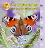 Bunte Welt der Schmetterlinge