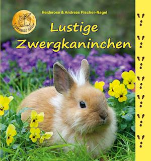 Lustige Zwergkaninchen