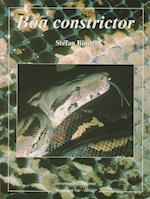 Boa constrictor