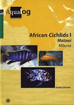 African Ciclids l Malawi Mbuna