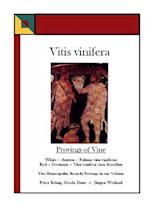 Vitis vinifera - Provings of Vine