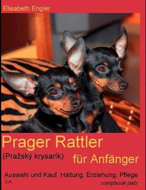 Prager Rattler (Pra Sk Krysar K) Fur Anf Nger