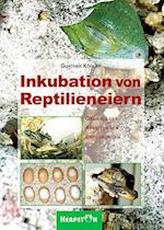 Inkubation von Reptilieneiern