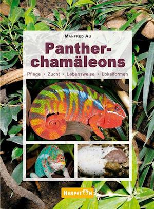 Pantherchamäleons