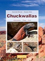 Chuckwallas