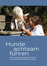 Hunde achtsam führen