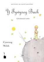 Y Tywysog Bach. Cymraeg