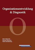Organisationsentwicklung & Diagnostik