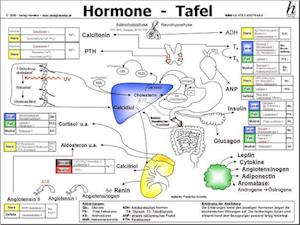 Hormone Tafel