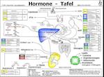 Hormone Tafel