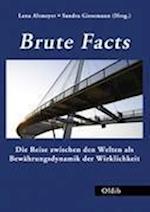 Brute Facts