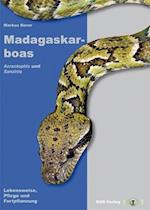 Madagaskarboas