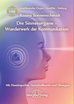 Sinnesorgane - Wunderwerk der Kommunikation