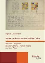 Inside and outside the White Cube. Between Categories - Brian O'Doherty / Patrick Ireland und sein Werk