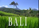 Bali - Ein Bildband
