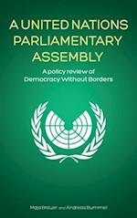 A United Nations Parliamentary Assembly: A policy review of Democracy Without Borders 