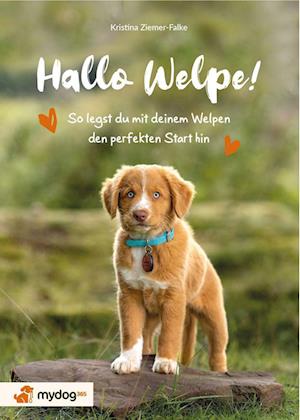 Hallo Welpe!