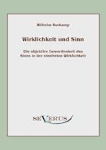 Wirklichkeit Und Sinn