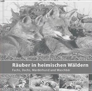 Räuber in heimischen Wäldern