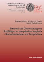 Elektronische Überwachung von Straffälligen im europäischen Vergleich - Bestandsaufnahme  und Perspektiven