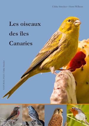 Les oiseaux des îles Canaries