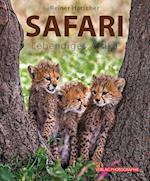 Safari