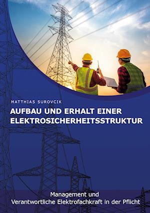 Aufbau und Erhalt einer Elektrosicherheitsstruktur