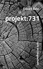 projekt: 731