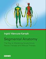 Segmental Anatomy