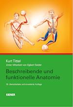 Beschreibende und funktionelle Anatomie