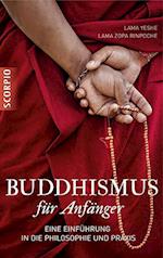 Buddhismus für Anfänger