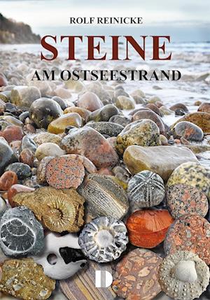 Steine am Ostseestrand