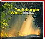 Teutoburger Wald