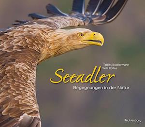 Seeadler