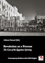 Revolution as a Process