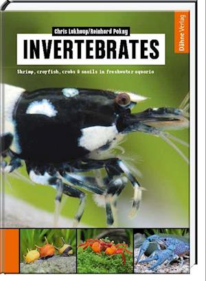 Invertebrates