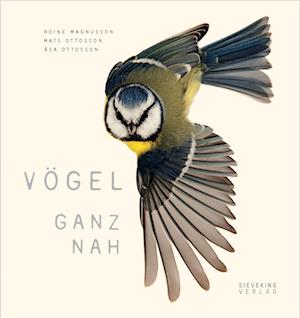 Vögel ganz nah