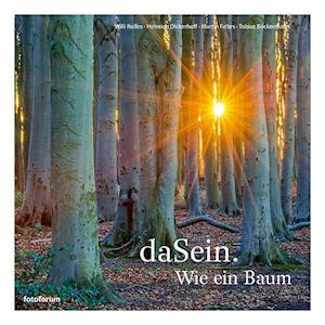 daSein. Wie ein Baum