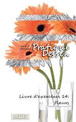 Pratique Dessin - Livre d'exercices 14