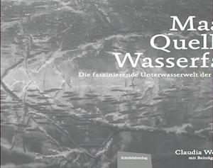 Maare, Quellen, Wasserfälle