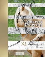 Practice Drawing - XL Workbook 11