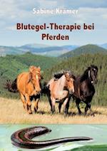 Blutegel-Therapie bei Pferden