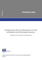 Strategic Human Resource Management in Small and Medium-Sized Technology Enterprises: Content and Process Perspectives