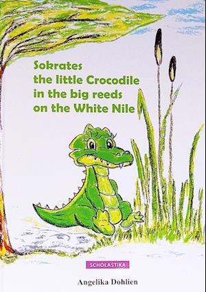 Sokrates the little Crocodile in the big reeds on the White Nile