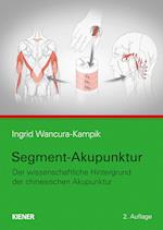 Segment-Akupunktur