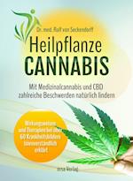 Heilpflanze Cannabis