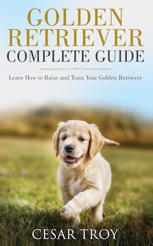Golden Retriever Complete Guide
