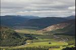 Alec Finlay - Gathering. A Place Aware Guide To The Cairngorms
