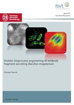Holistic bioprocess engineering of antibody fragment secreting Bacillus megaterium