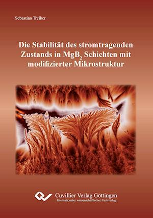 Die Stabilität des stromtragenden Zustands in MgB2 Schichten mit modifizierter Mikrostruktur